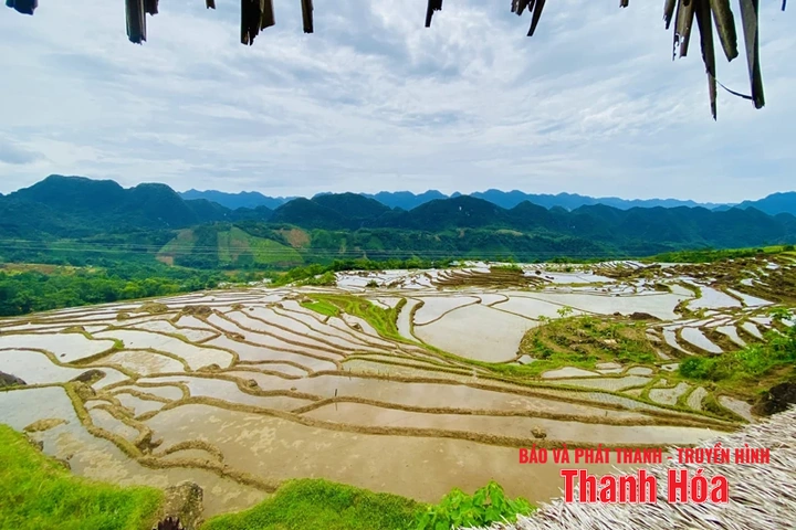 Đại ngàn vẫy gọi...