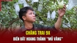 Chàng trai 9X biến đất hoang thành “mỏ vàng”