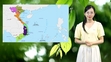 Dự báo thời tiết 15/5: Thanh Hóa ngày nắng, chiều tối có mưa dông rải rác