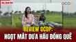 [REVIEW OCOP] Ngọt mát dưa hấu Đồng Quê