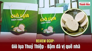[REVIEW OCOP] Giò lụa Thuỷ Thiệp - Đậm đà vị quê nhà