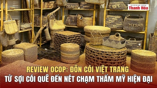 Đôn cói Việt Trang - Từ sợi cói quê đến nét chạm thẩm mỹ hiện đại