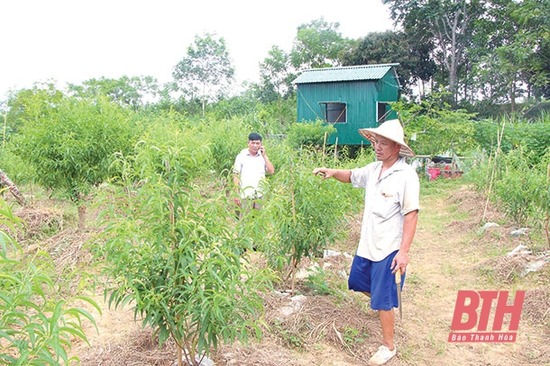 Hiệu quả từ sản xuất nông nghiệp ứng dụng công nghệ cao ở Văn Tiến