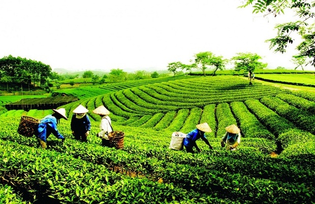 10 đăng ký m88 có hiệu lực thi hành từ 1/7/2024