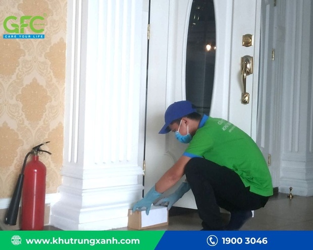 Dịch vụ diệt link vào m88 mới nhất sàn gỗ chuyên nghiệp của Công ty TNHH Khử Trùng Xanh