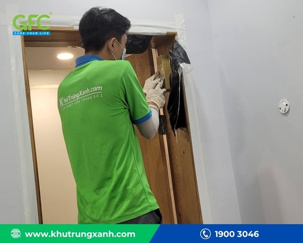 Dịch vụ diệt link vào m88 mới nhất sàn gỗ chuyên nghiệp của Công ty TNHH Khử Trùng Xanh