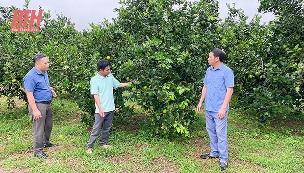 Tích tụ đất đai phát triển nông m88 link mới nhất hiện đại