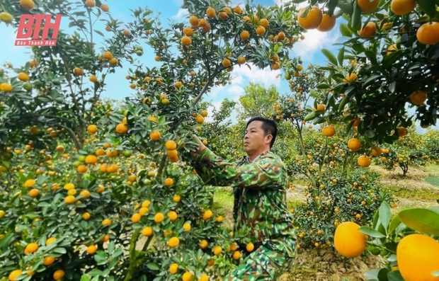 “Thủ phủ” m88 trang chủ xứ Thanh nhộn nhịp vào Tết