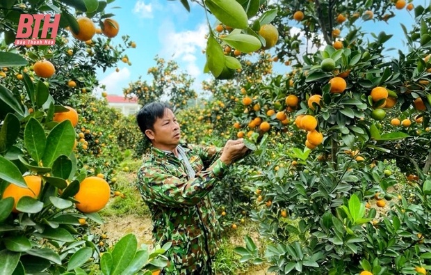 “Thủ phủ” m88 trang chủ xứ Thanh nhộn nhịp vào Tết
