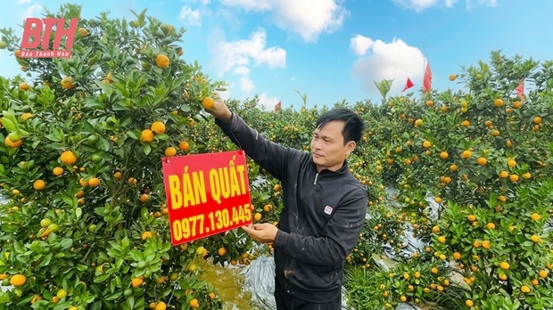 “Thủ phủ” m88 trang chủ xứ Thanh nhộn nhịp vào Tết