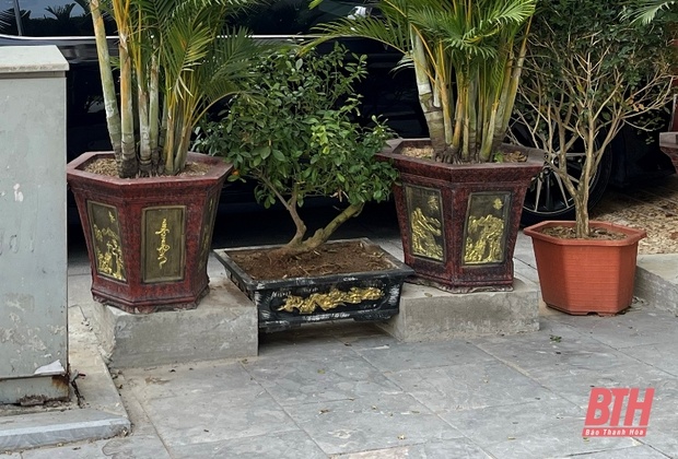 Bồn hoa kiên cố trên m88 link mới nhất hè chắn ngang lối đi bộ