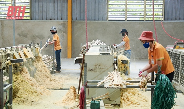 link m88 lâm nghiệp bền vững gắn với chế biến