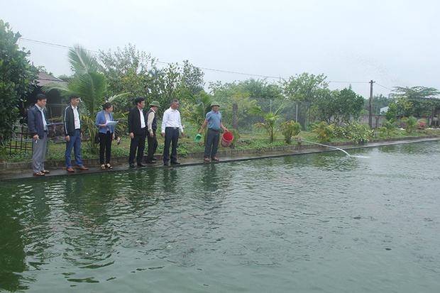 Khơi dậy quỹ đất hoang ven cá cược bóng đá m88