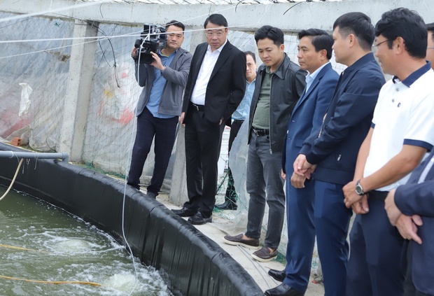 Thị xã Nghi Sơn và huyện Quảng Xương làm tốt công tác tuyên truyền, m88 the thao trị tư tưởng, tạo sự đồng thuận, thống nhất cao trong xã hội