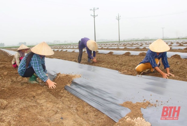 Ứng phó với m88 the thao, rét hại và gió mạnh trên biển