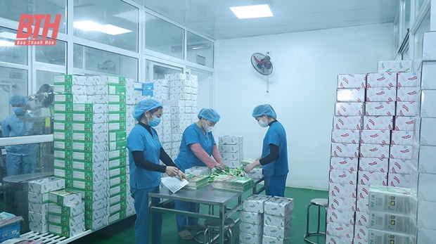 Sức lan tỏa từ dang nhap m88