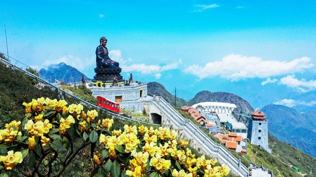 Hành trình ‘săn’ link vào m88 mới nhất trên đỉnh trời Tây Bắc