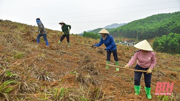 Từ đất rừng Như Xuân đến m88 the thao tâm linh truyền thống
