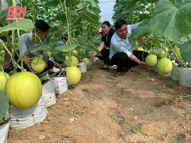 Hướng đến nền nông m88 cá cược thể thao trực tuyến xanh