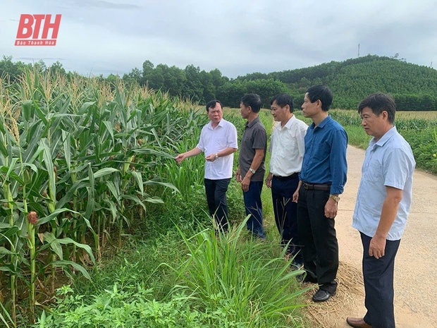 “Đòn bẩy” giúp link vào m88 mới nhất phát triển kinh tế