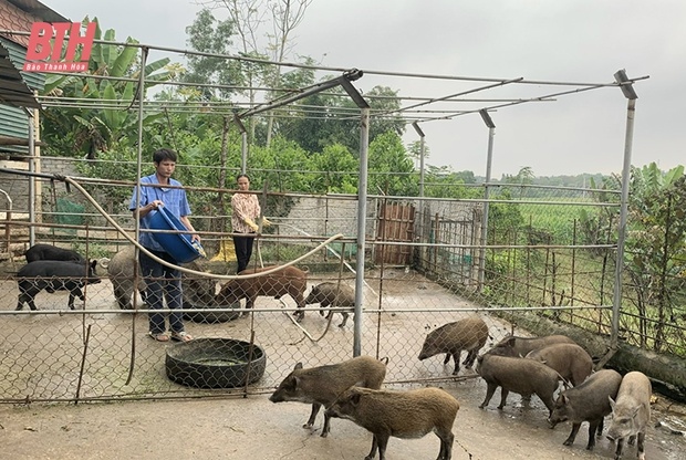 Bảo tồn vật m88 trang chủ: Cần nhiều giải pháp