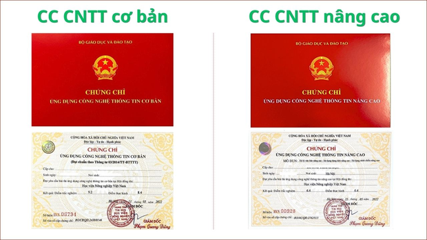 Edulife cam kết đầu ra chứng chỉ tin kèo nhà cái m88 hiệu quả