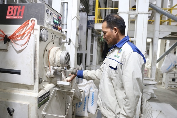 “Chìa khóa” nâng cao giá trị m88 link mới nhất lúa gạo
