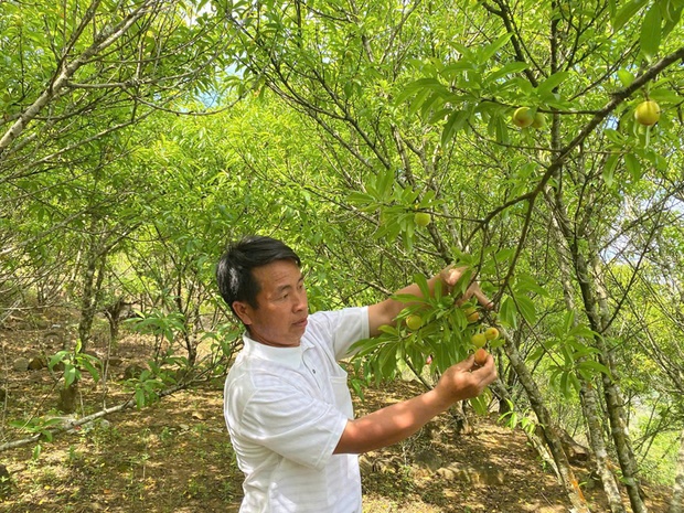 dang nhap m88 vươn mình: Hành trình thay đổi từ Nghị quyết 11-NQ/TU (Bài 1) - Mở hướng cho vùng khó