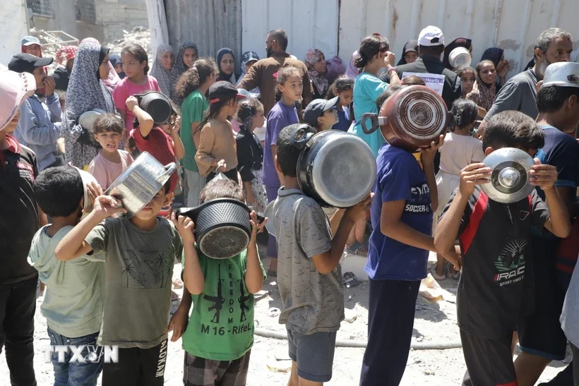 Người dân Gaza bên bờ vực nạn đói nghiêm trọng sau 10 tuần phong tỏa Người dân Gaza bên bờ vực nạn đói nghiêm trọng sau 10 tuần phong tỏa