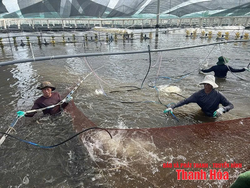 Khi công nghệ m88 cá cược thể thao trực tuyến “bạn đồng hành”