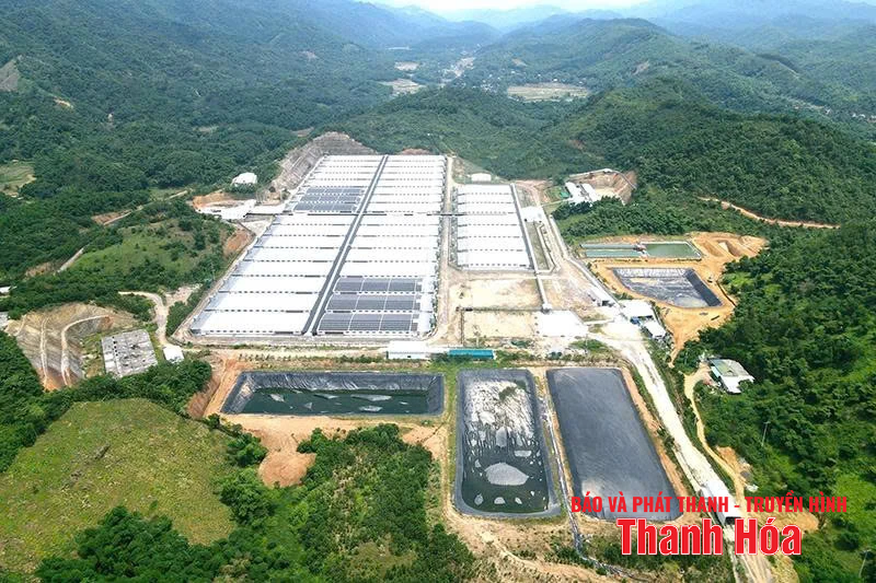 Vẫn “nóng” ô nhiễm môi link vào m88 bhki từ các trang trại chăn nuôi